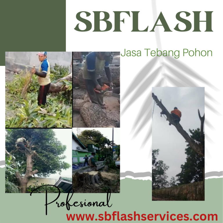 Jasa Tebang Pohon Profesional di Kabupaten Lombok Barat