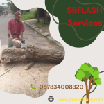 SBFLASH Tree Service
